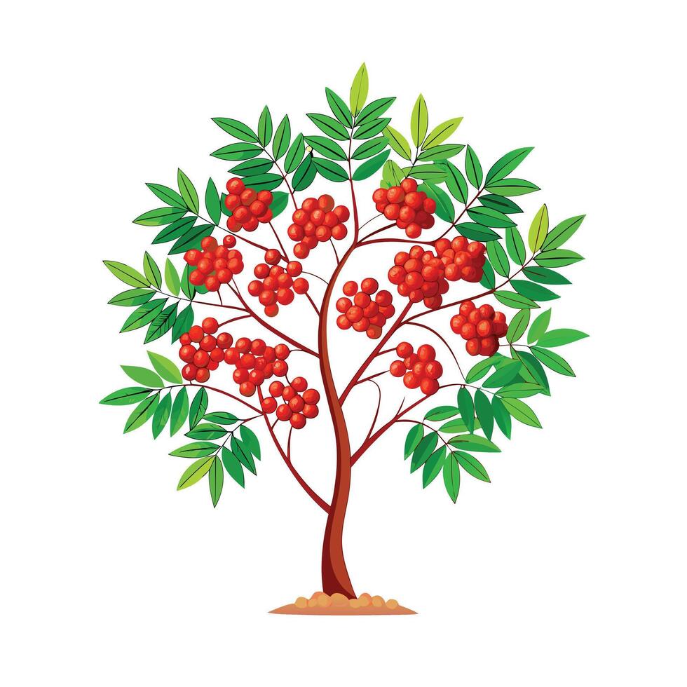 Beautiful Single Big Tree Illustration vector