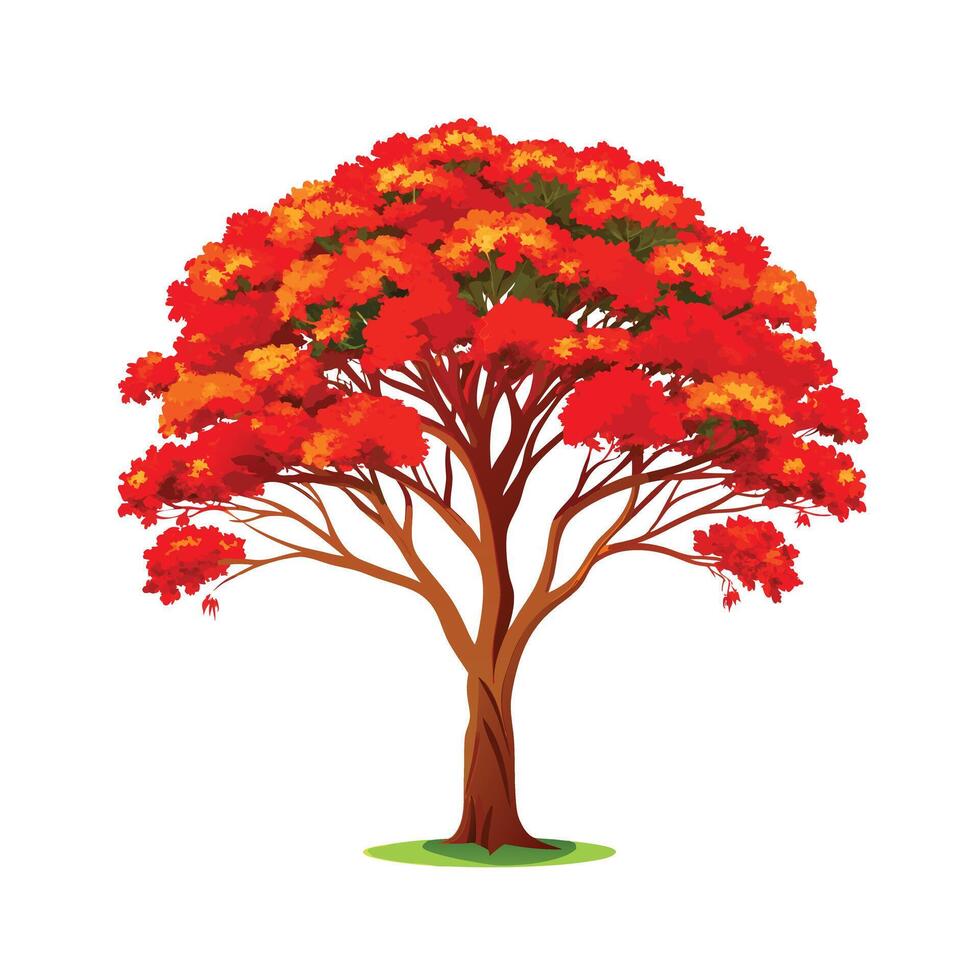 Beautiful Single Big Tree Illustration vector