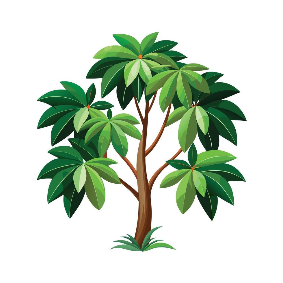 Beautiful Single Big Tree Illustration vector