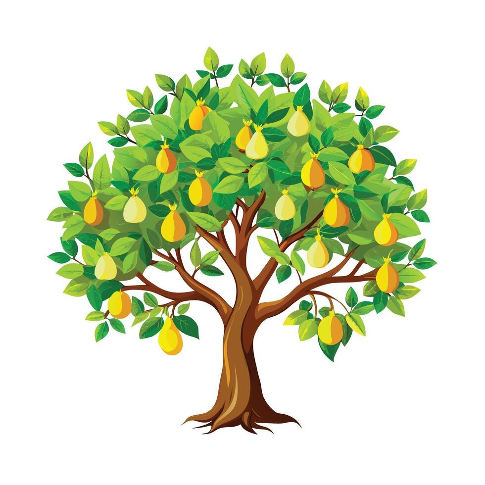 Beautiful Single Big Tree Illustration vector