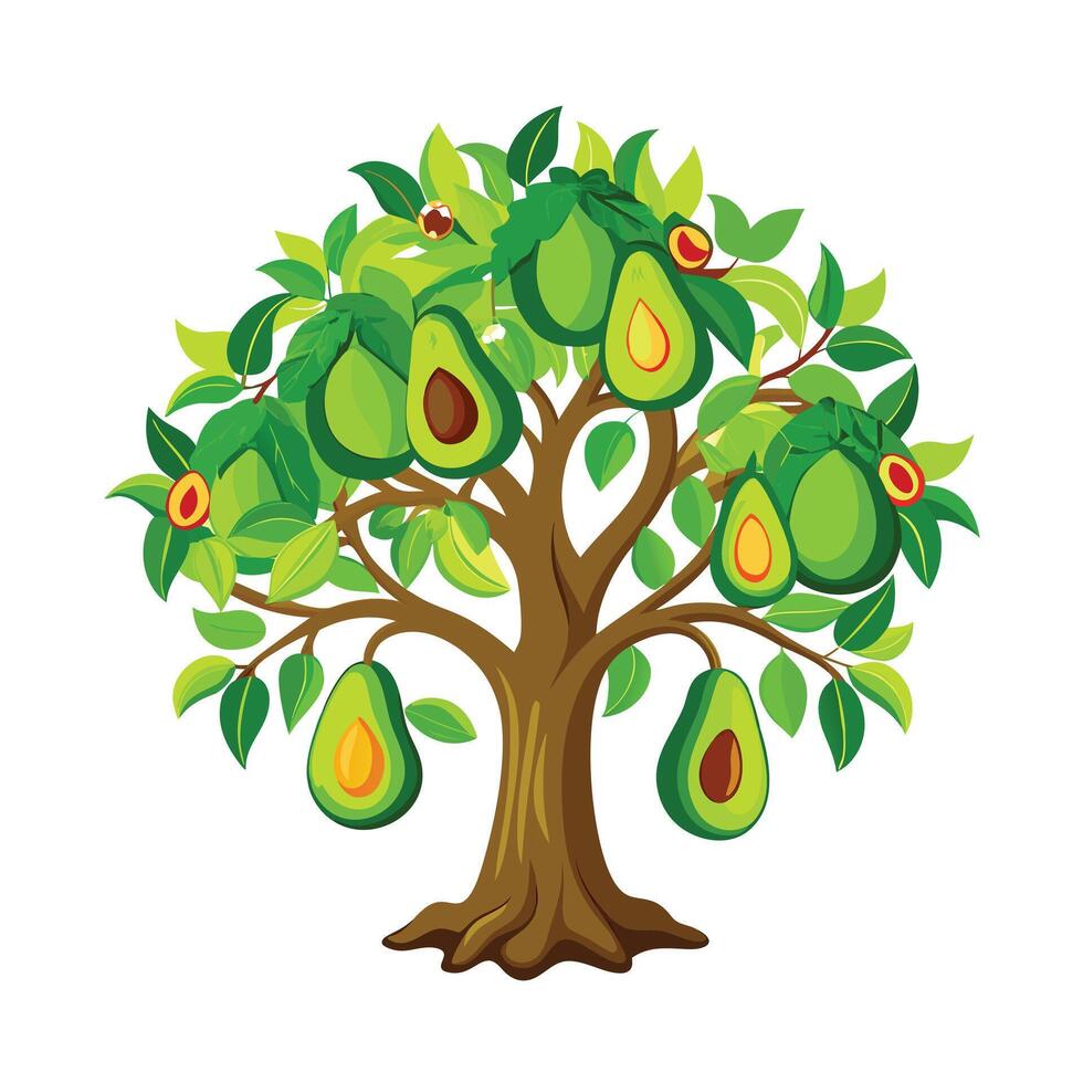 Beautiful Single Big Tree Illustration vector