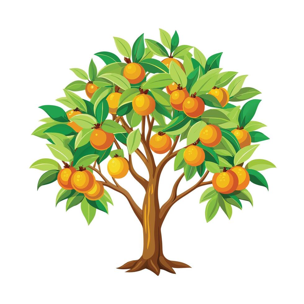 Beautiful Single Big Tree Illustration vector