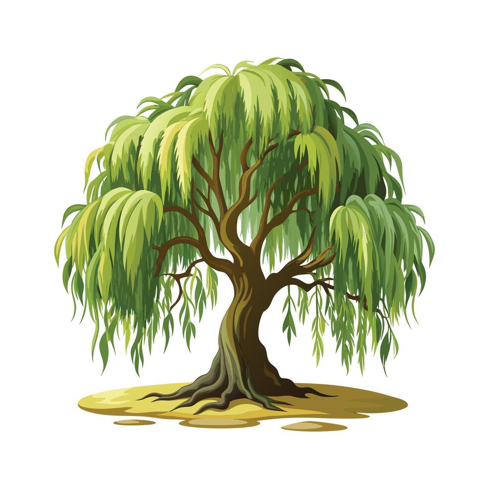 Beautiful Single Big Tree Illustration vector