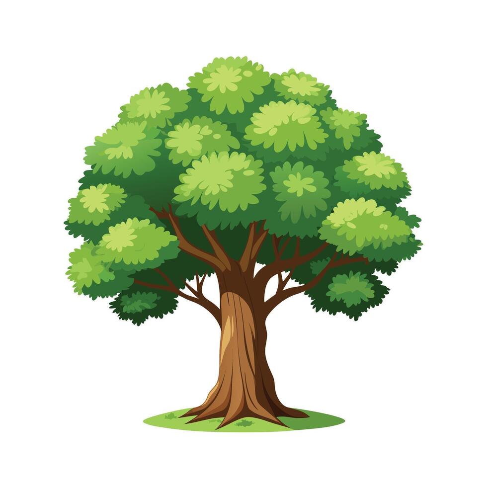 Beautiful Single Big Tree Illustration vector