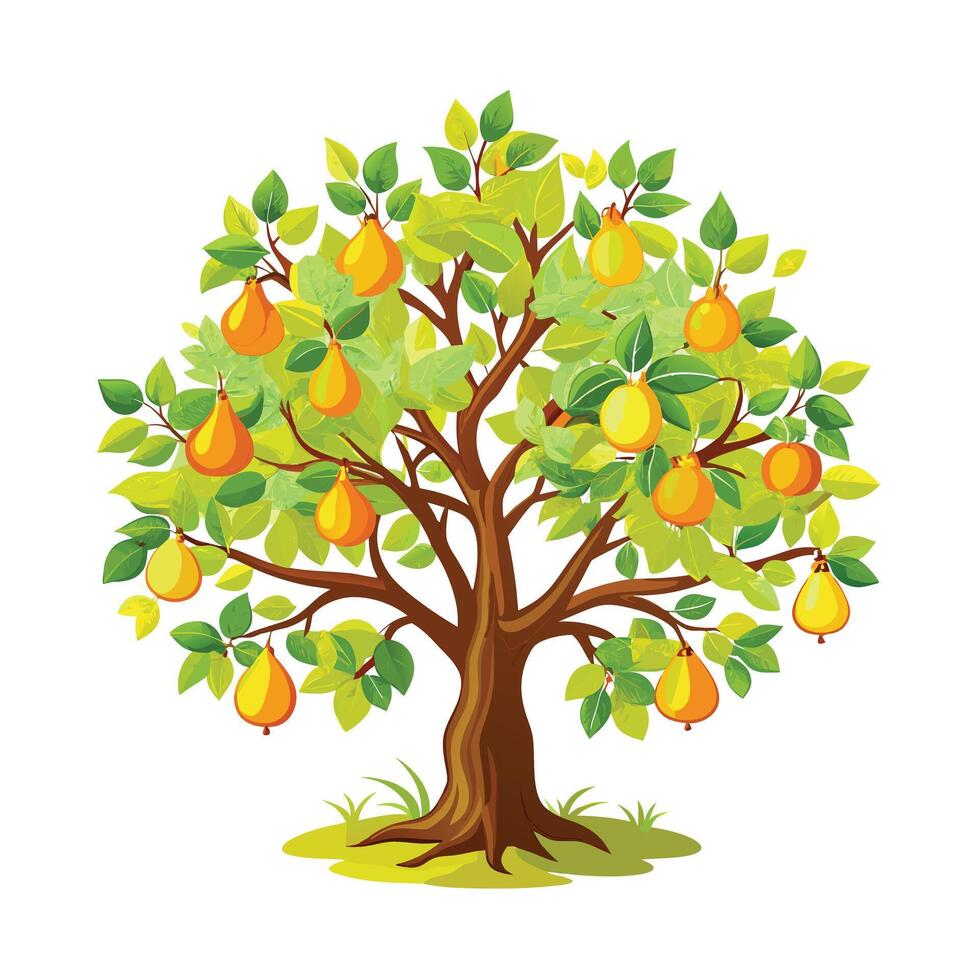 Beautiful Single Big Tree Illustration vector