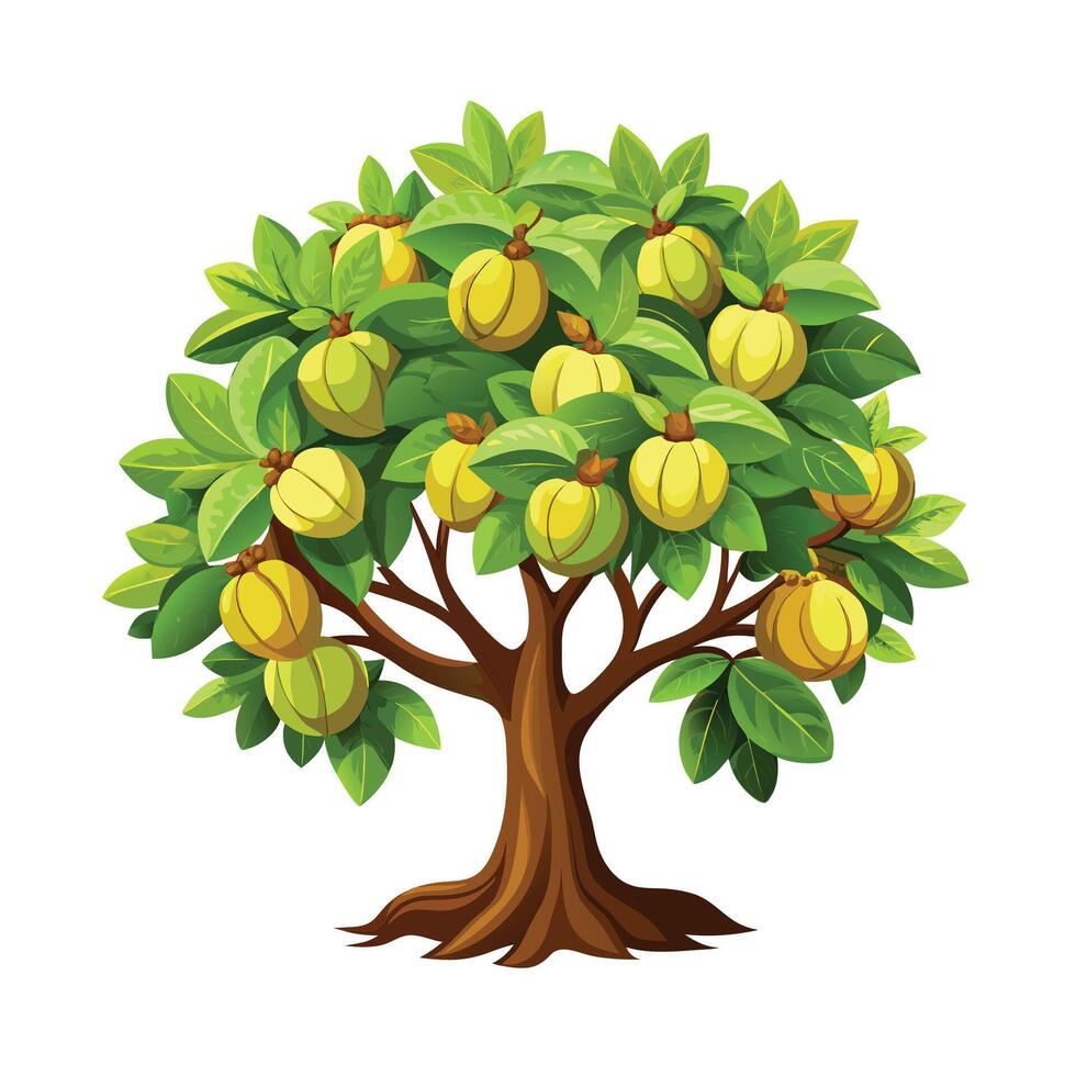 Beautiful Single Big Tree Illustration vector