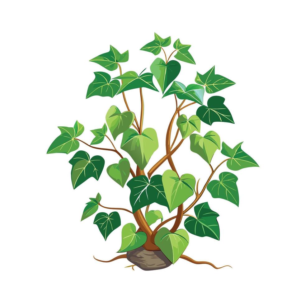 Beautiful Flowerpot Houseplant Illustration vector