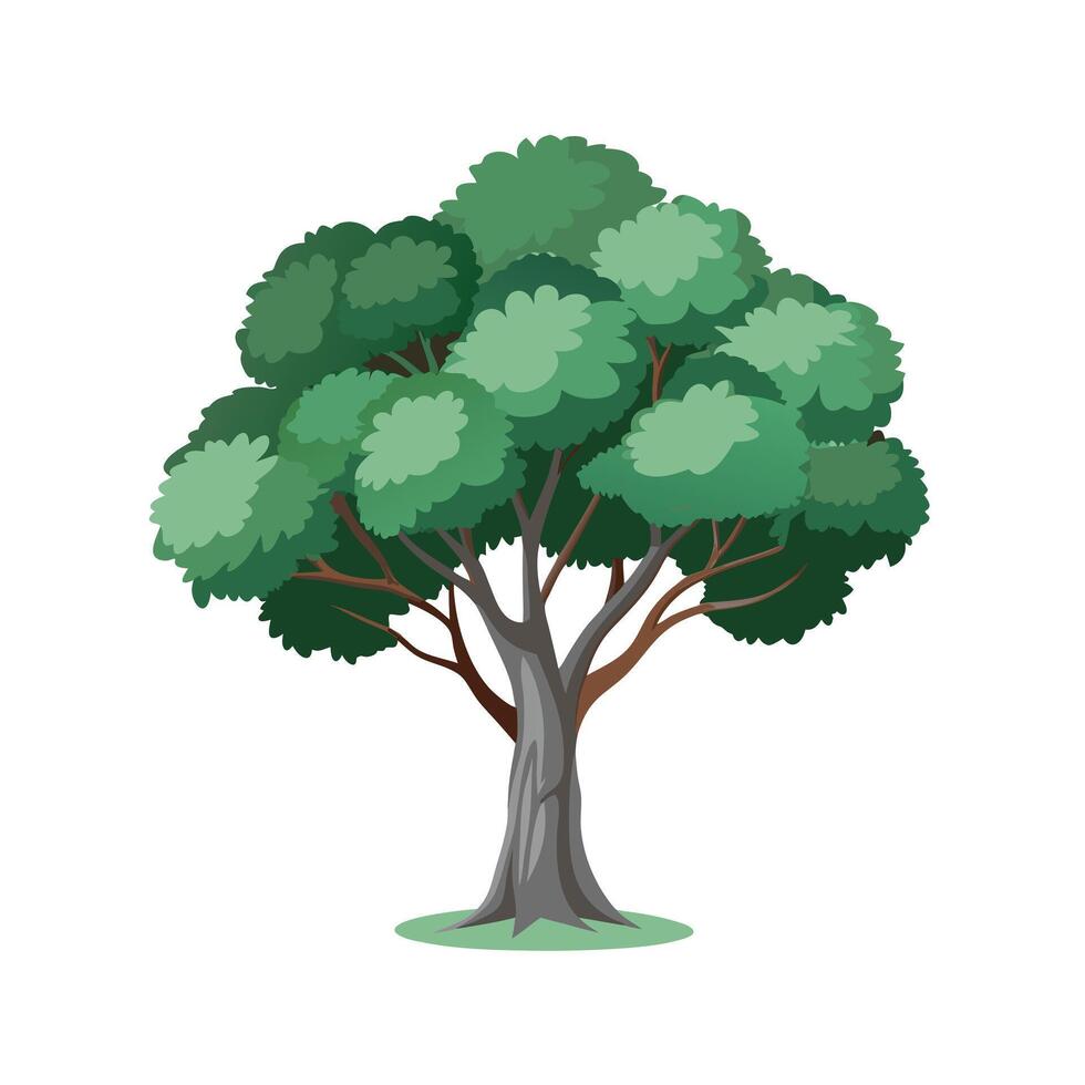 Beautiful Single Big Tree Illustration vector