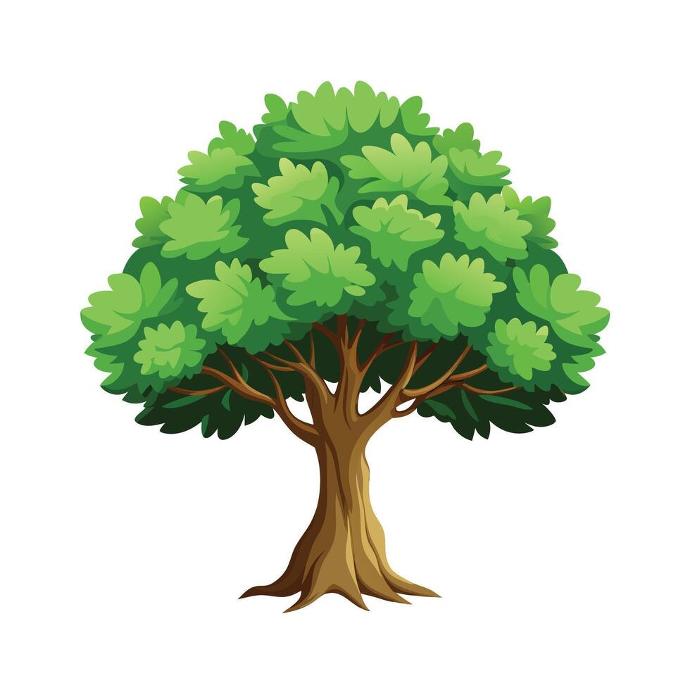 Beautiful Single Big Tree Illustration vector