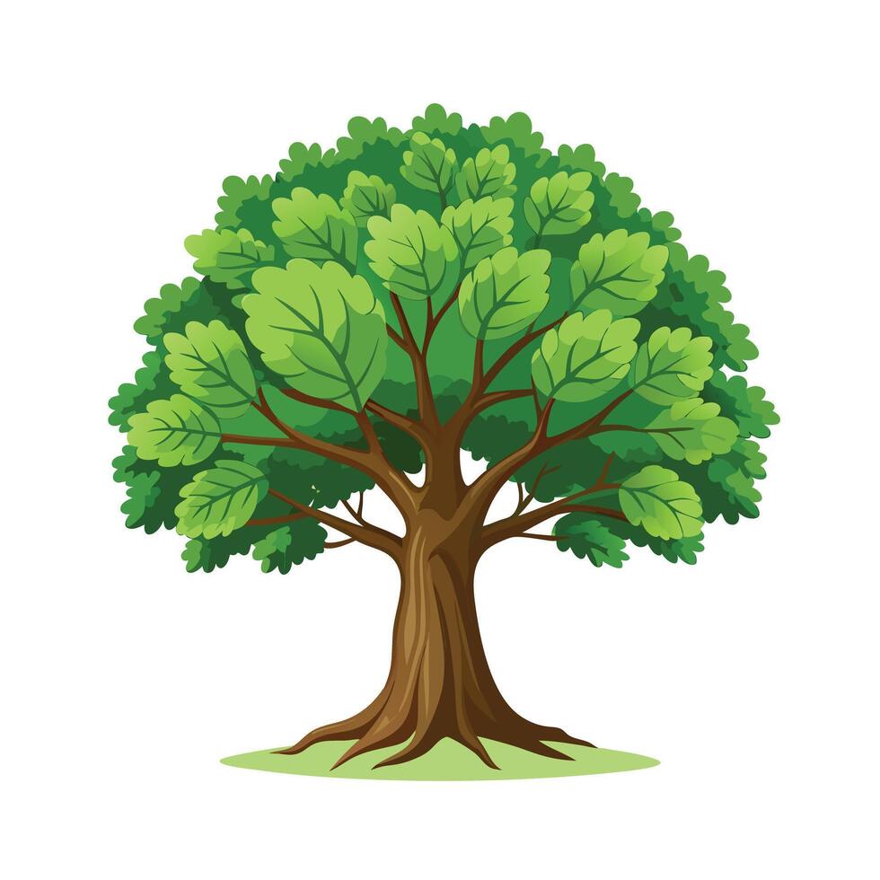 Beautiful Single Big Tree Illustration vector
