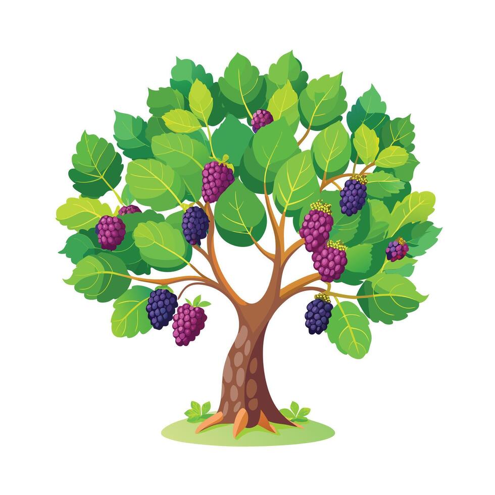 Beautiful Single Big Tree Illustration vector