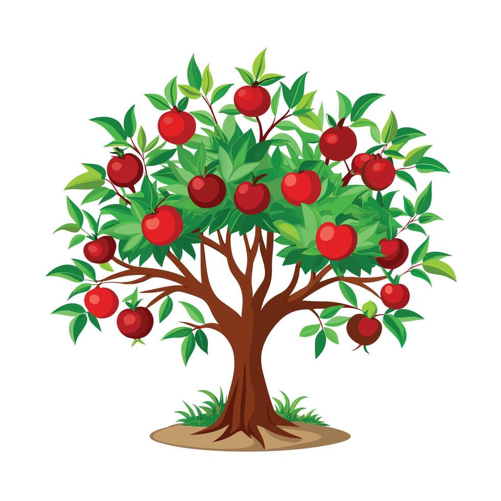 Beautiful Single Big Tree Illustration vector