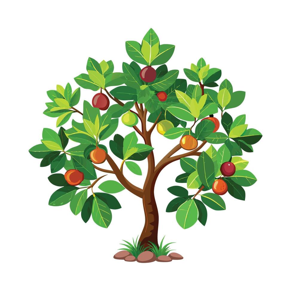 Beautiful Single Big Tree Illustration vector