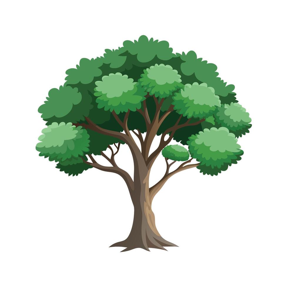 Beautiful Single Big Tree Illustration vector