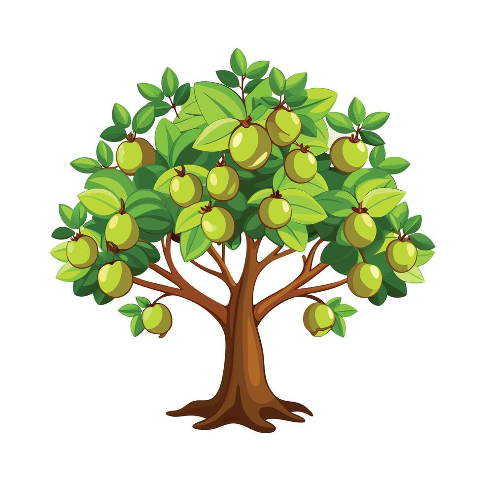 Beautiful Single Big Tree Illustration vector