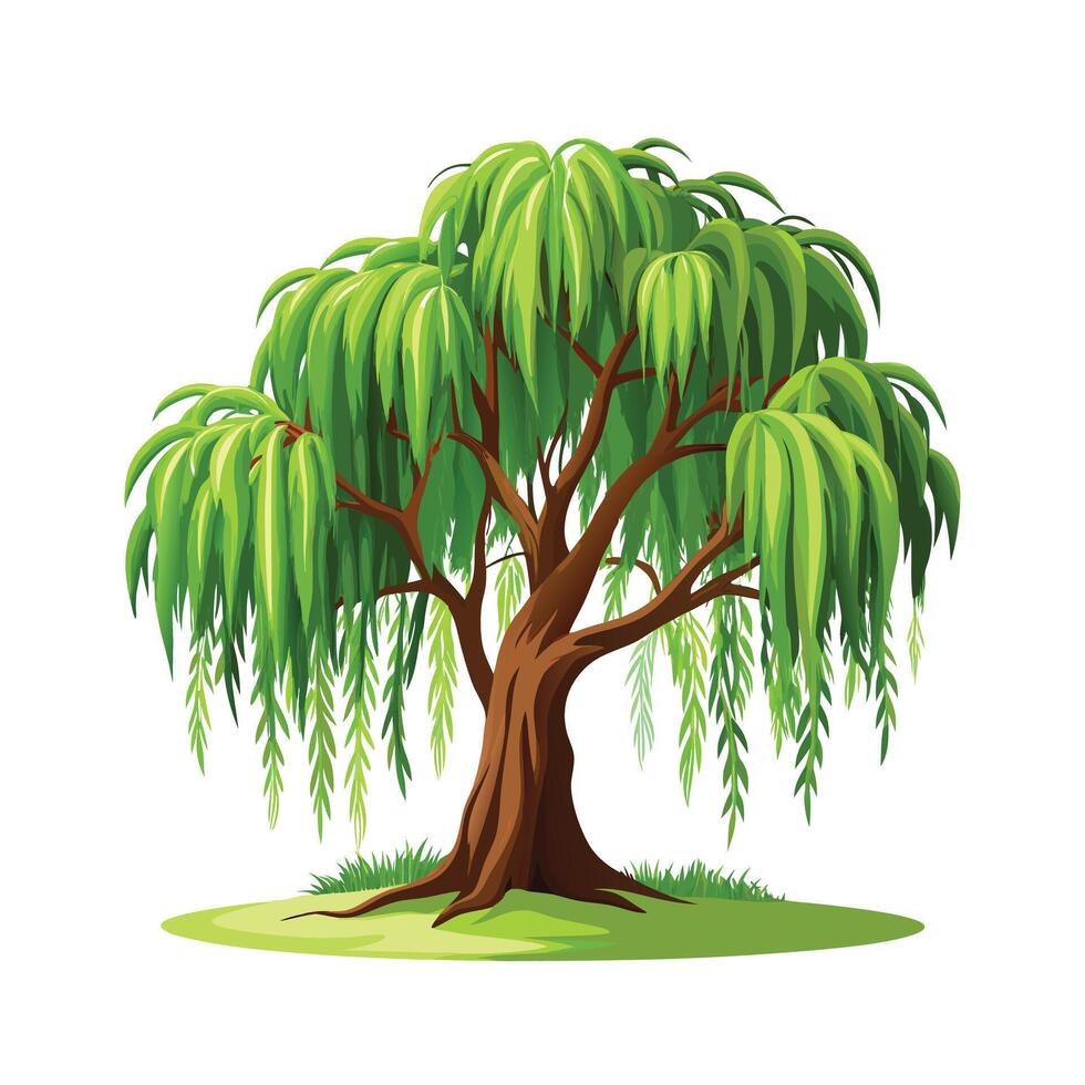Beautiful Single Big Tree Illustration vector