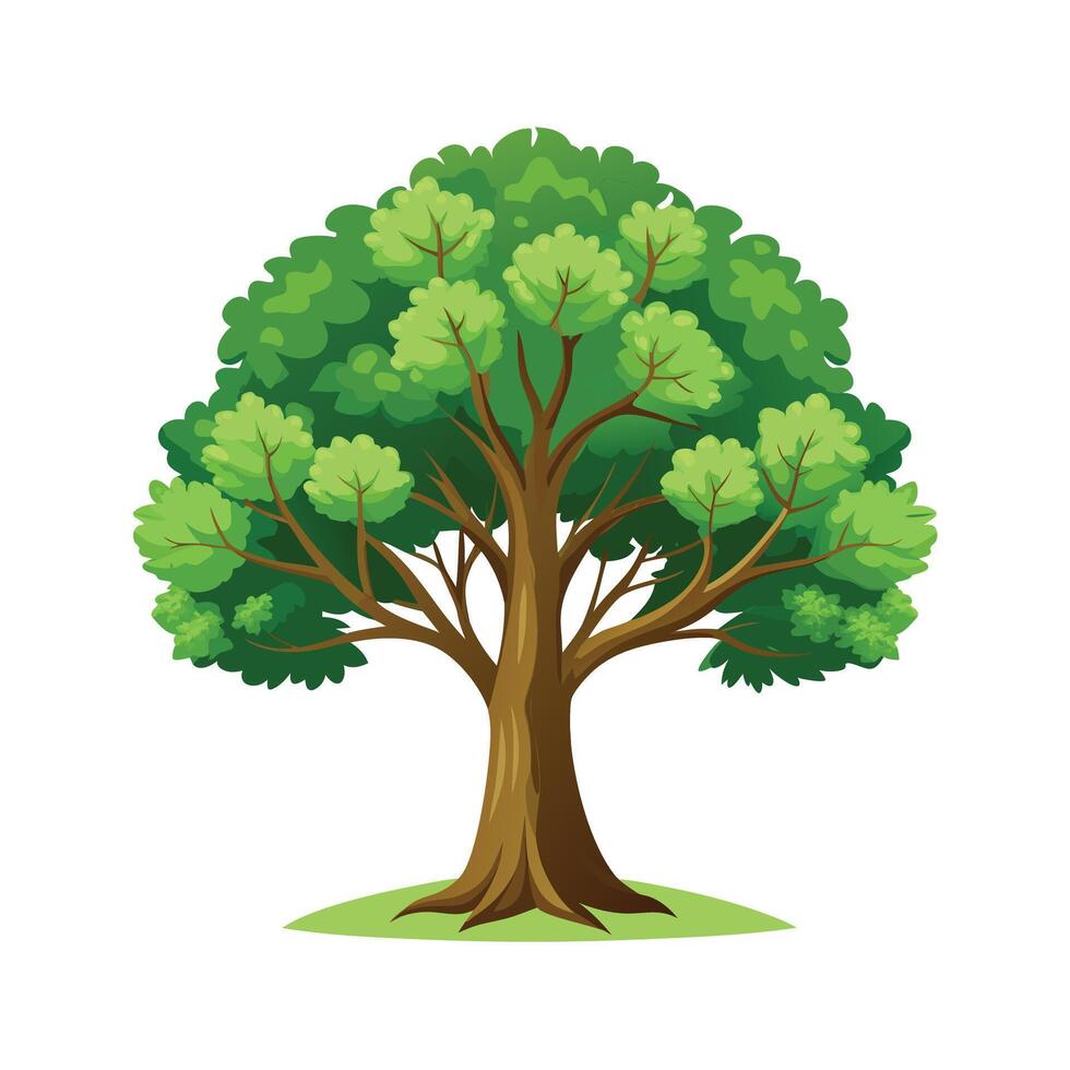 Beautiful Single Big Tree Illustration vector