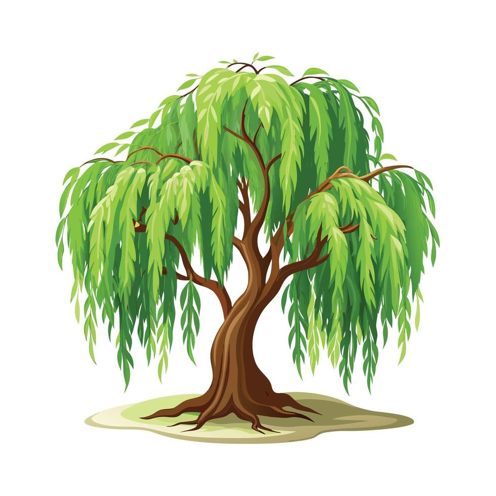 Beautiful Single Big Tree Illustration vector