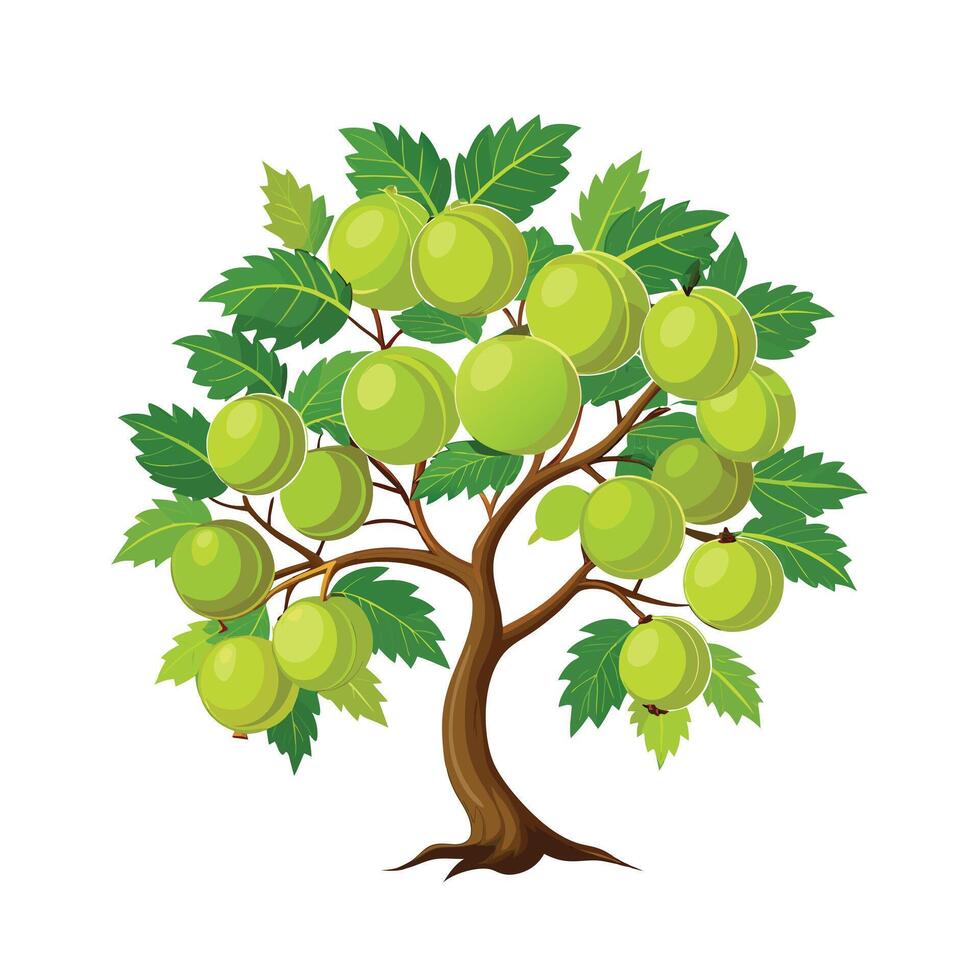 Beautiful Single Big Tree Illustration vector