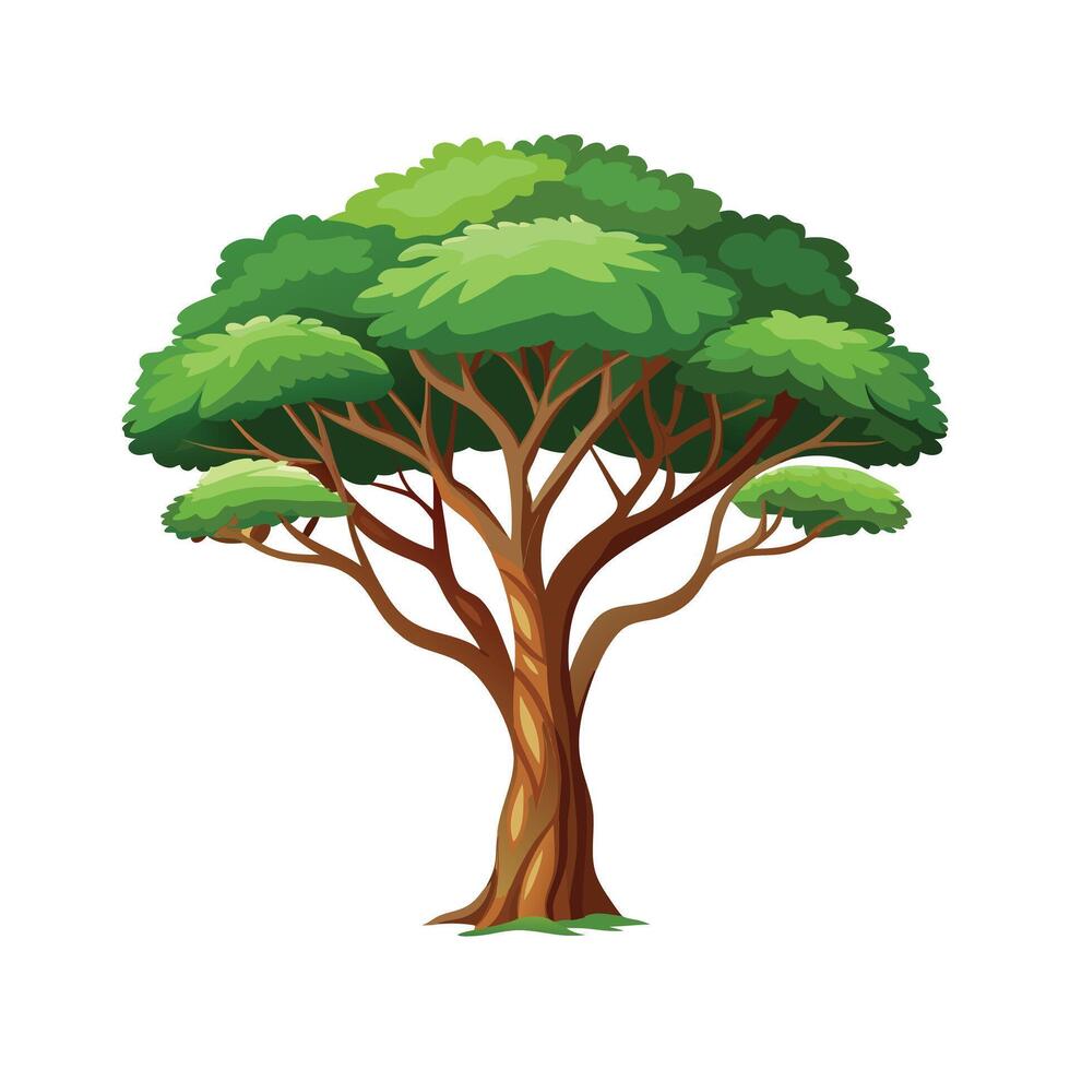 Beautiful Single Big Tree Illustration vector