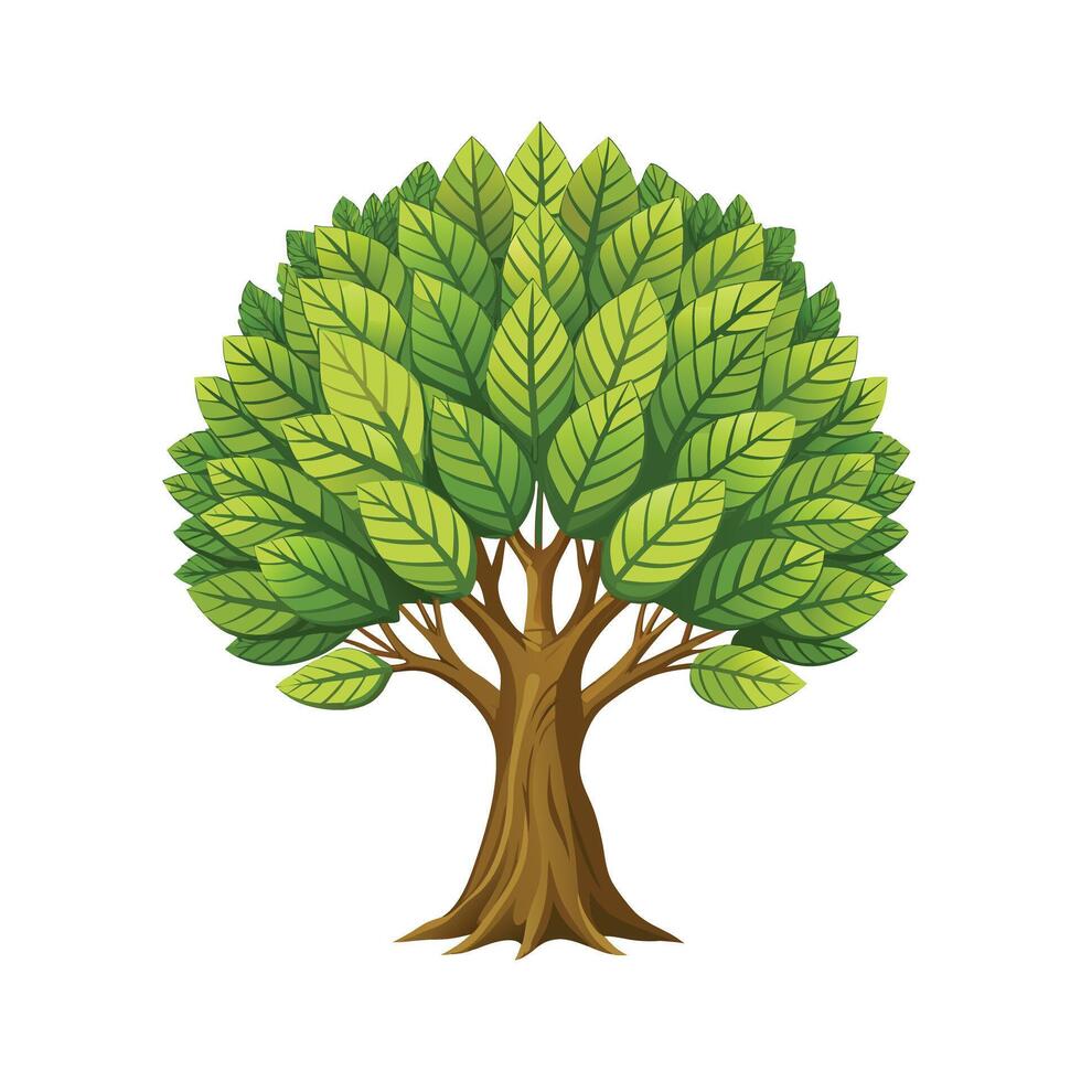 Beautiful Single Big Tree Illustration vector