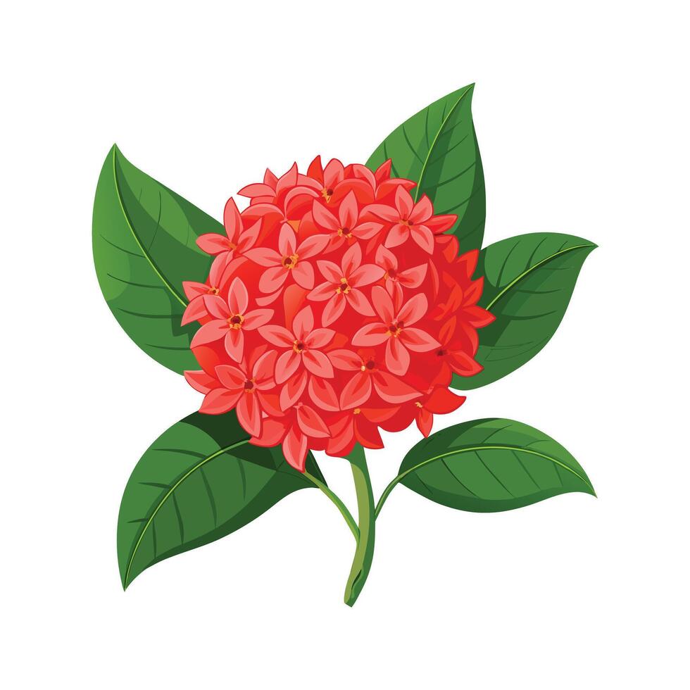Beautiful Flowerpot Houseplant Illustration vector