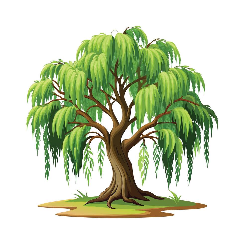 Beautiful Single Big Tree Illustration vector
