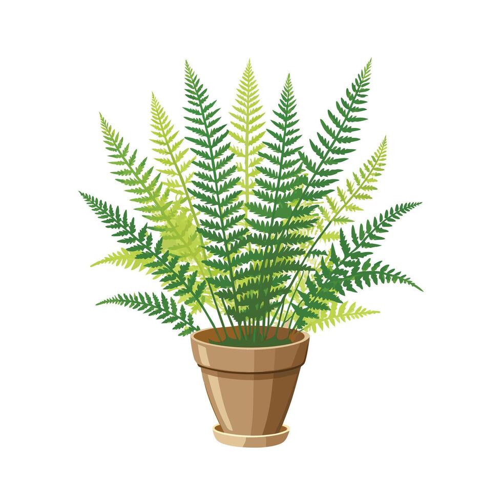 Beautiful Flowerpot Houseplant Illustration vector