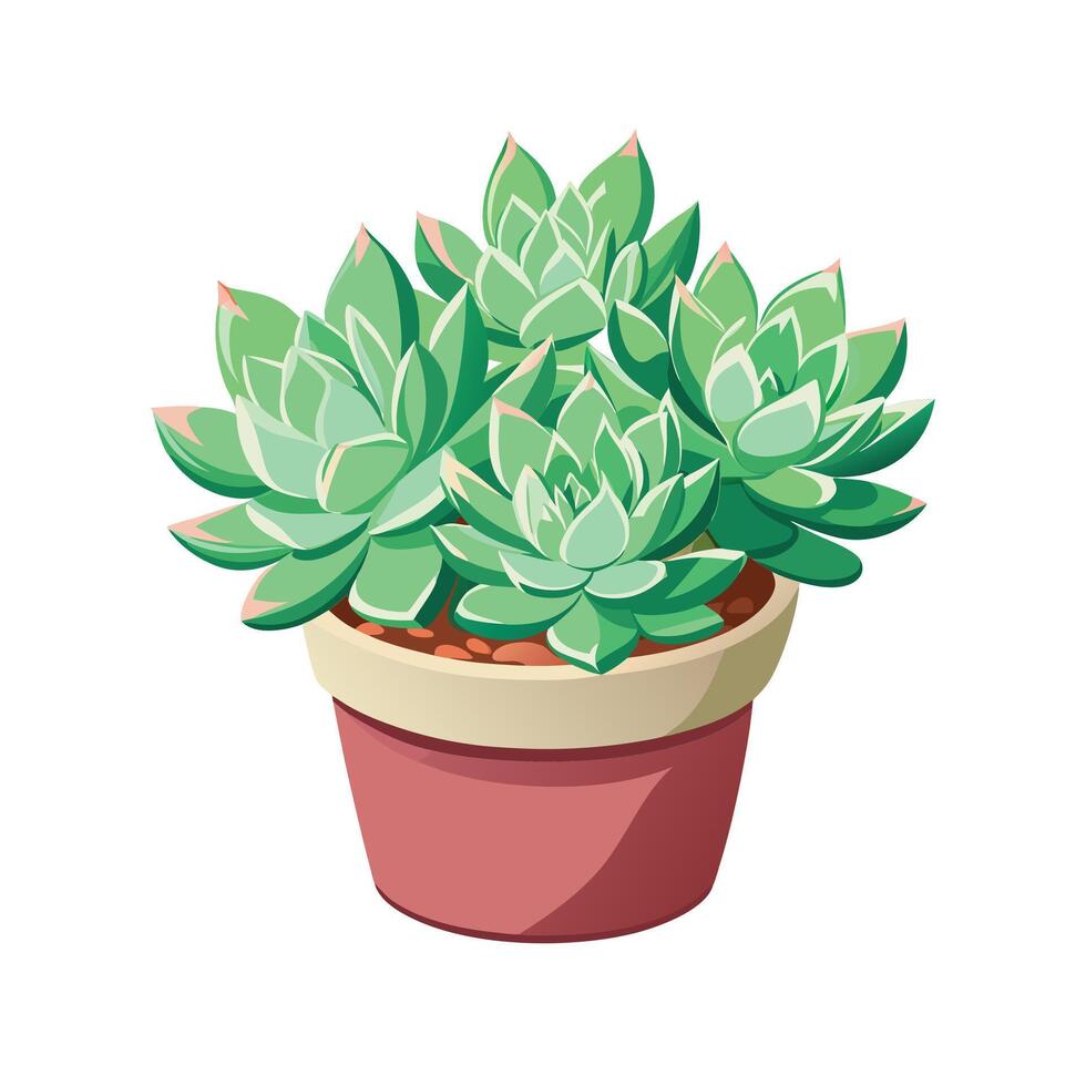 Beautiful Flowerpot Houseplant Illustration vector