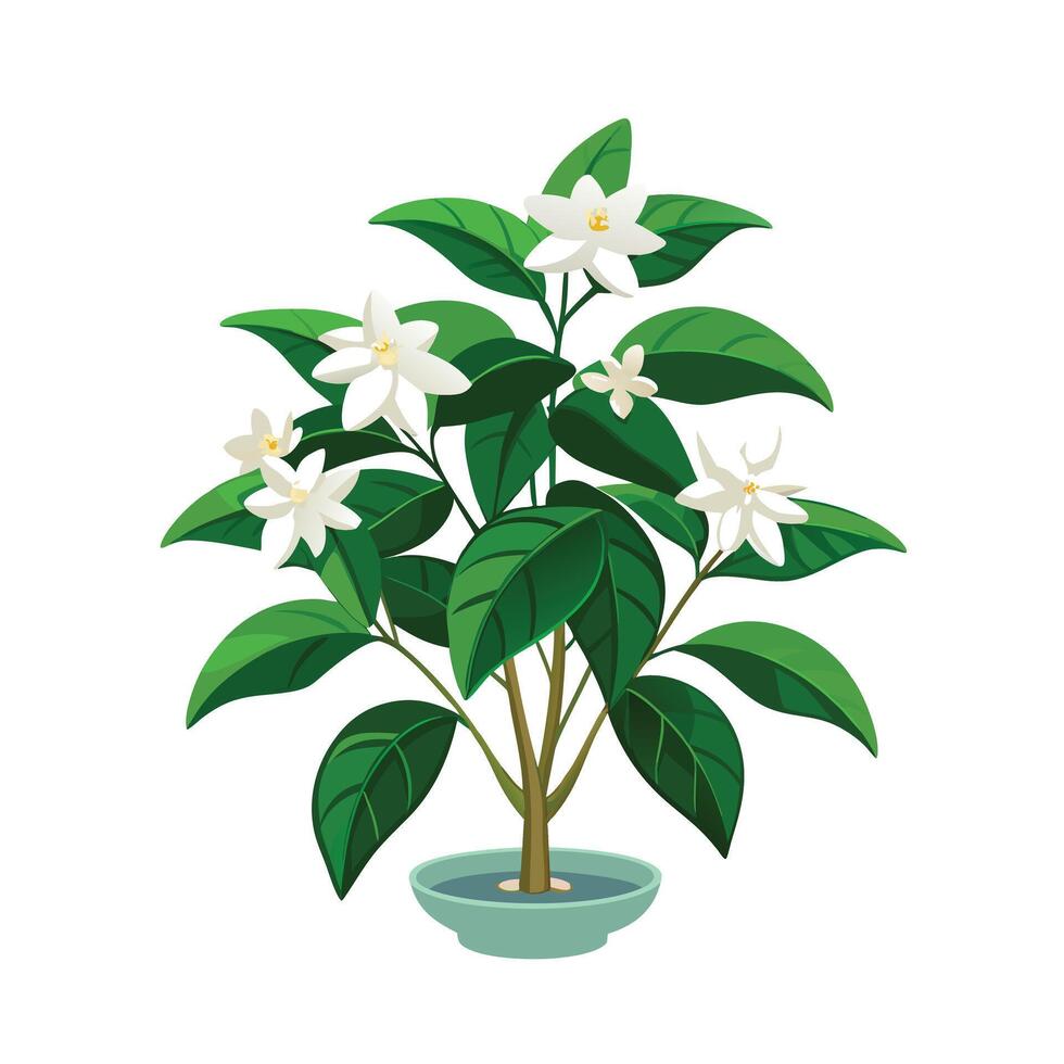 Beautiful Flowerpot Houseplant Illustration vector