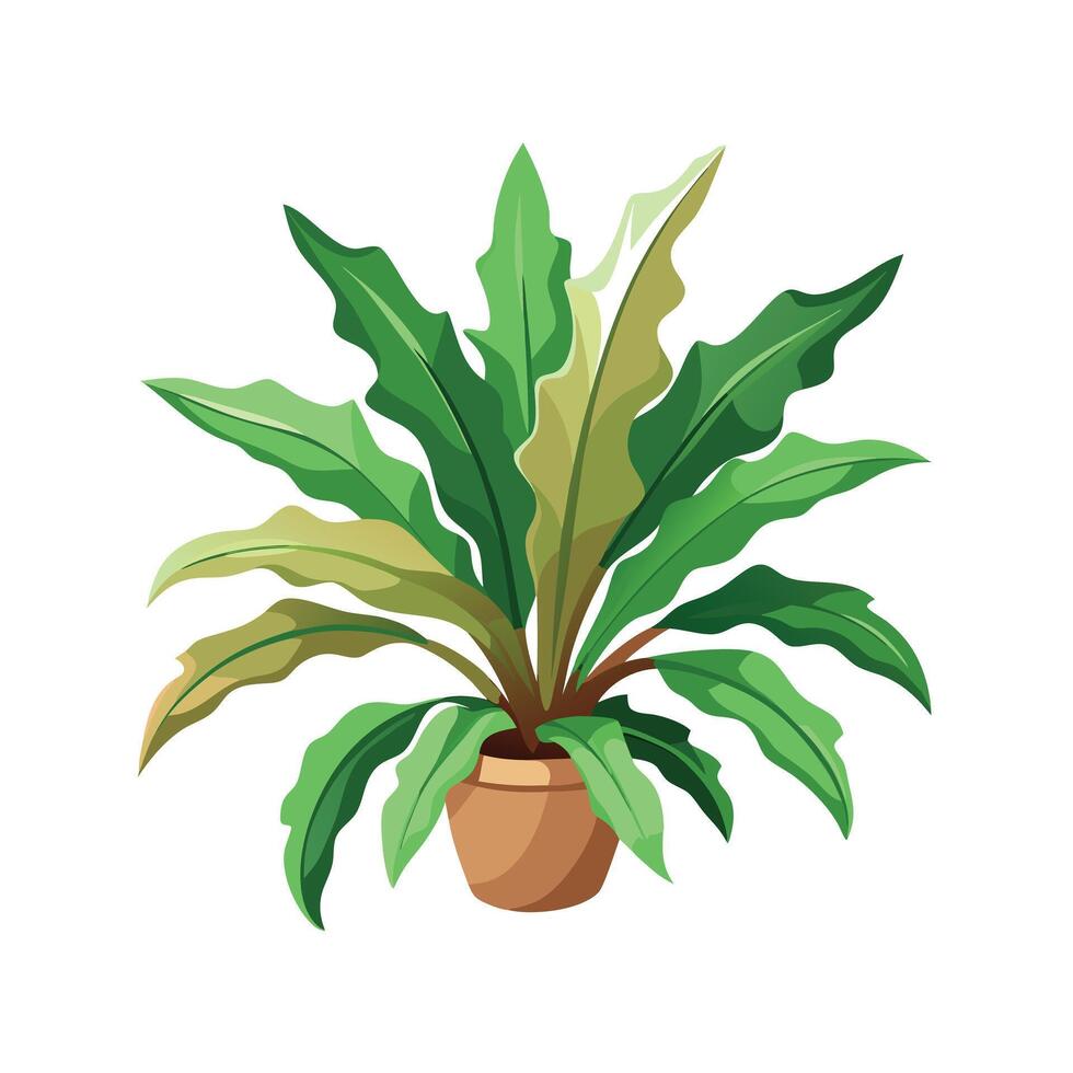 Beautiful Flowerpot Houseplant Illustration vector