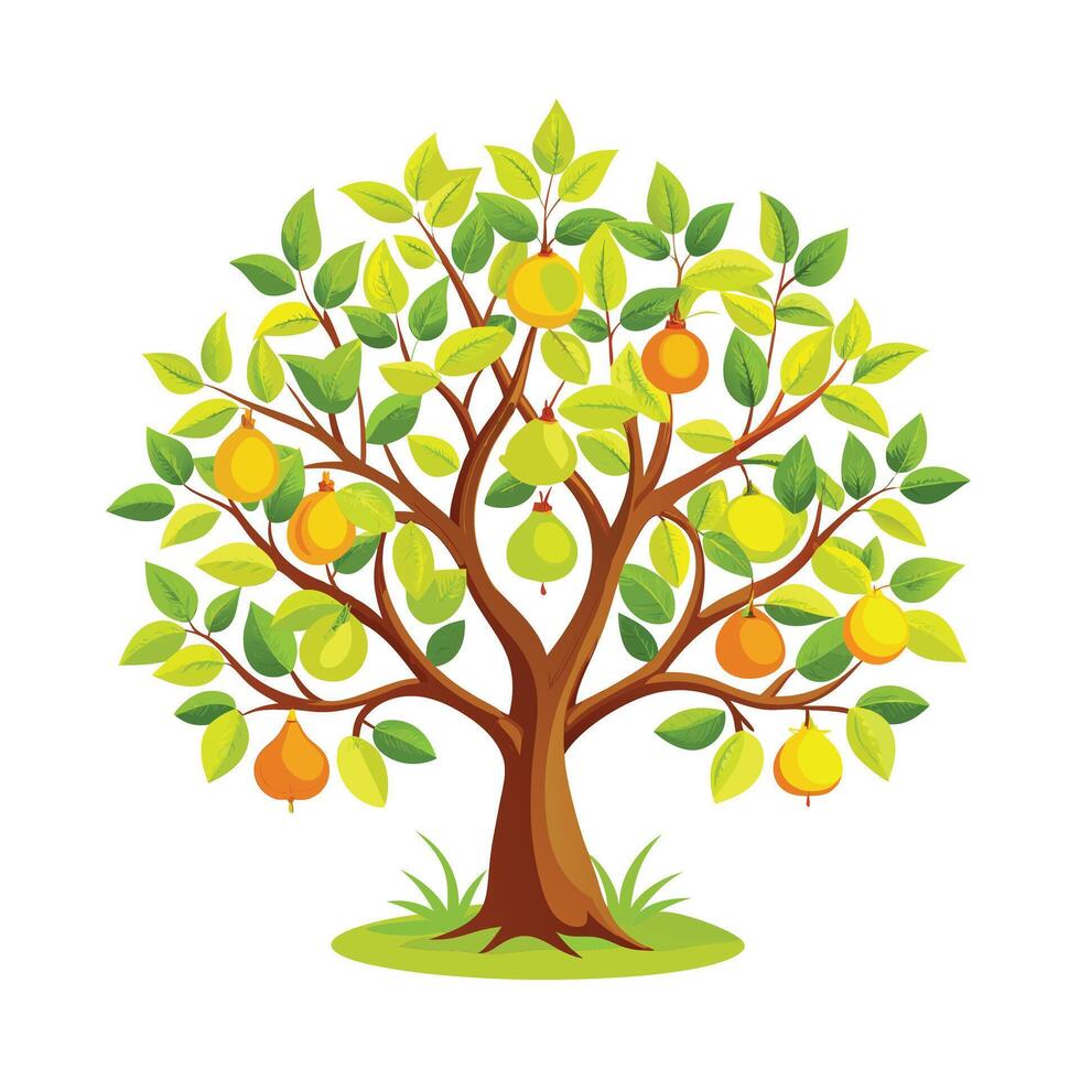 Beautiful Single Big Tree Illustration vector