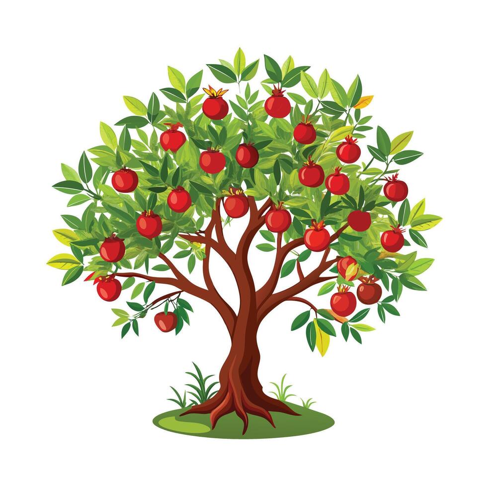Beautiful Single Big Tree Illustration vector