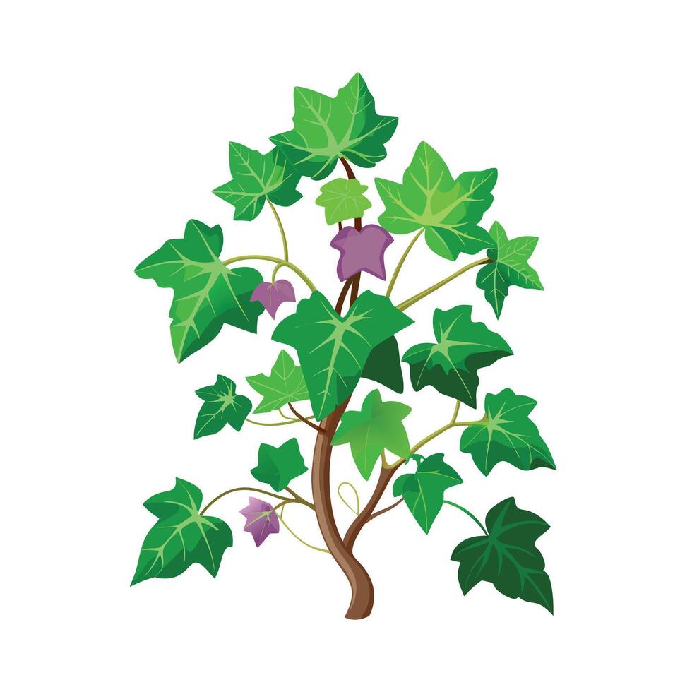 Beautiful Flowerpot Houseplant Illustration vector