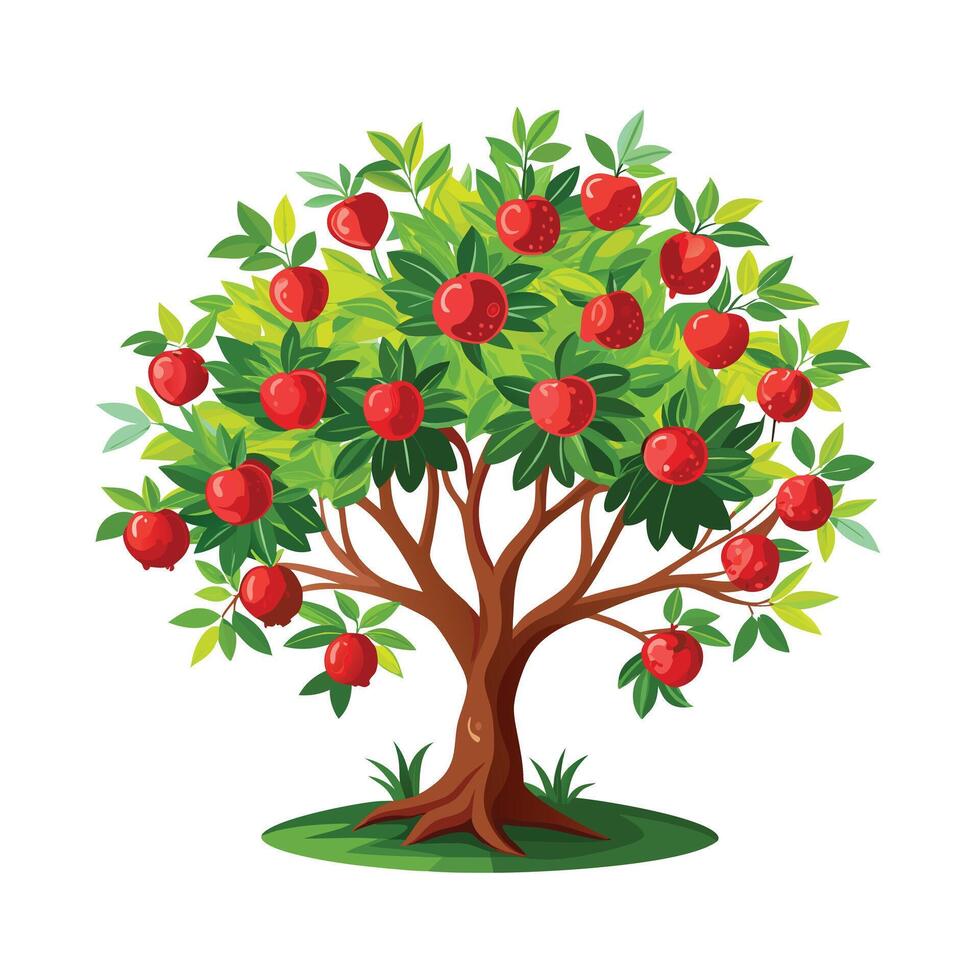 Beautiful Single Big Tree Illustration vector