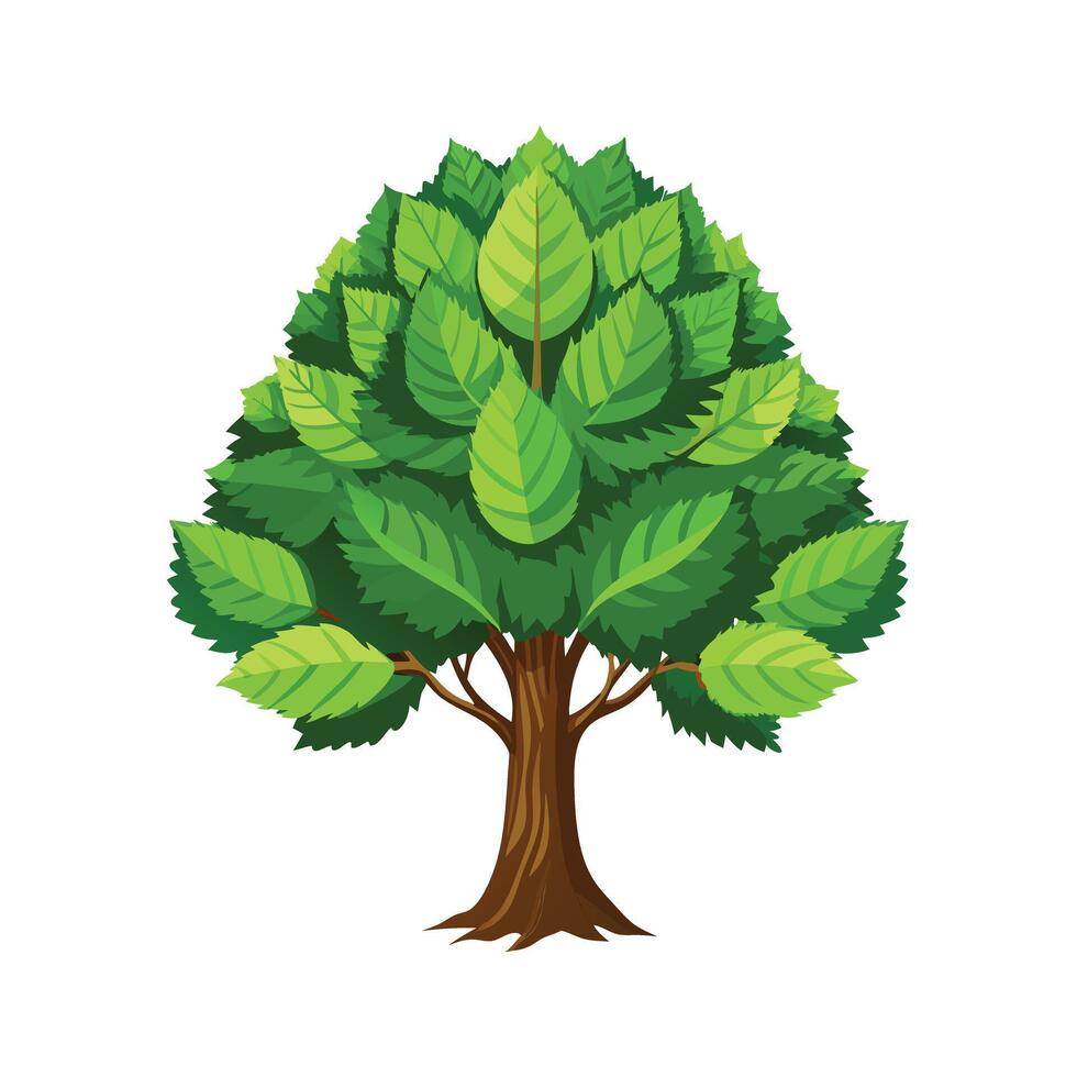 Beautiful Single Big Tree Illustration vector