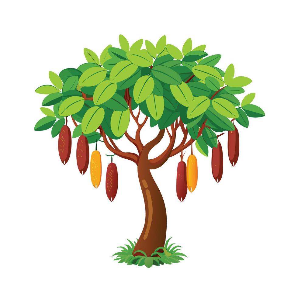 Beautiful Single Big Tree Illustration vector