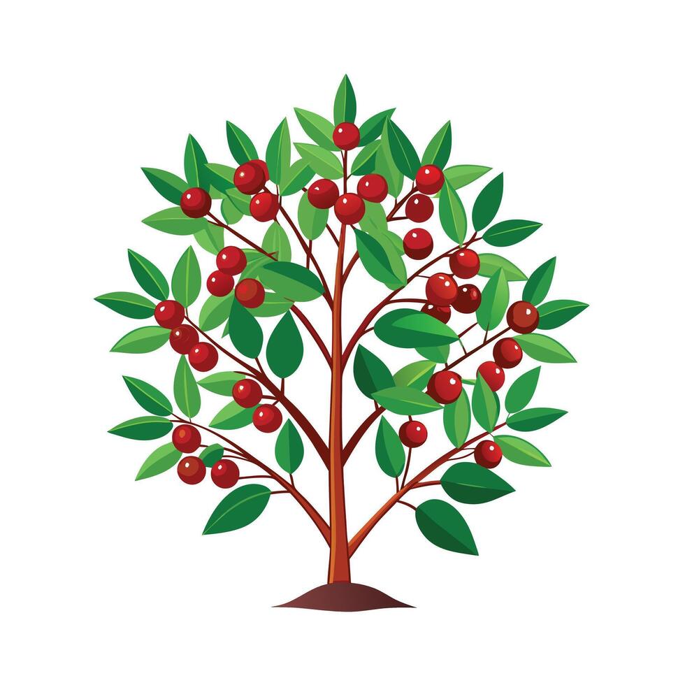 Beautiful Single Big Tree Illustration vector