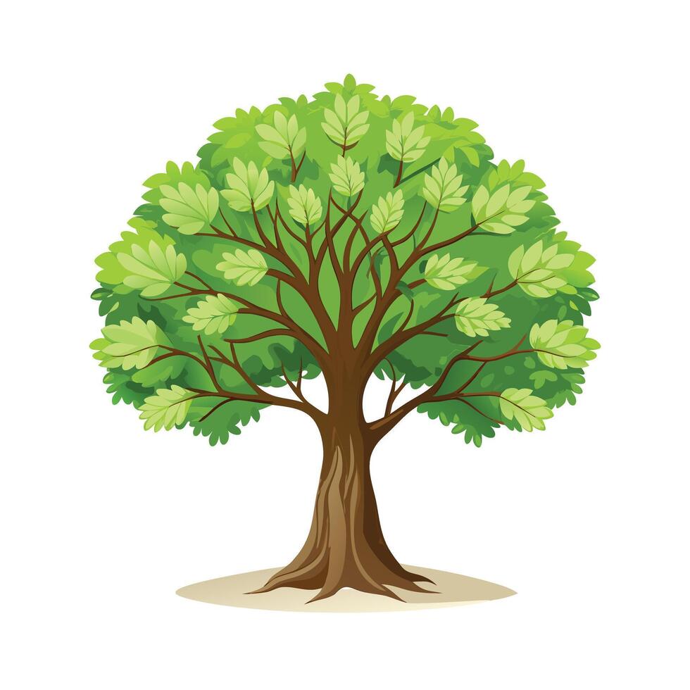 Beautiful Single Big Tree Illustration vector