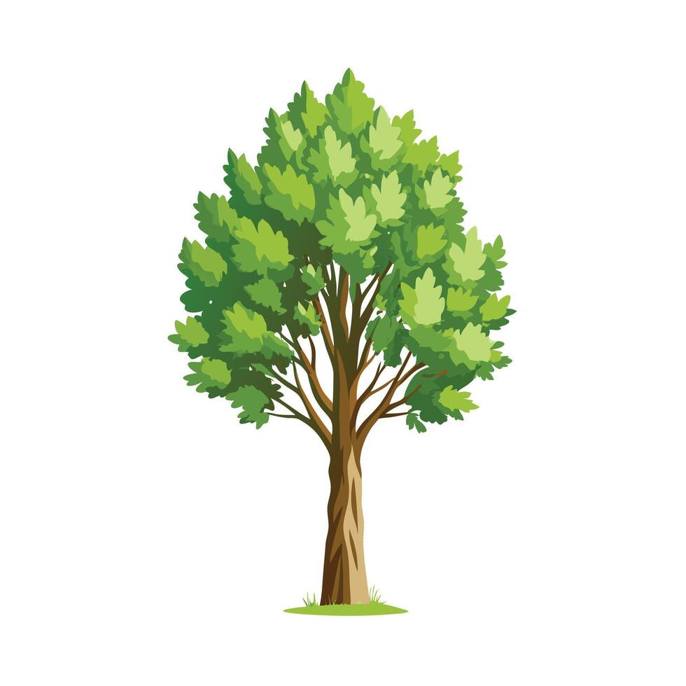Beautiful Single Big Tree Illustration vector