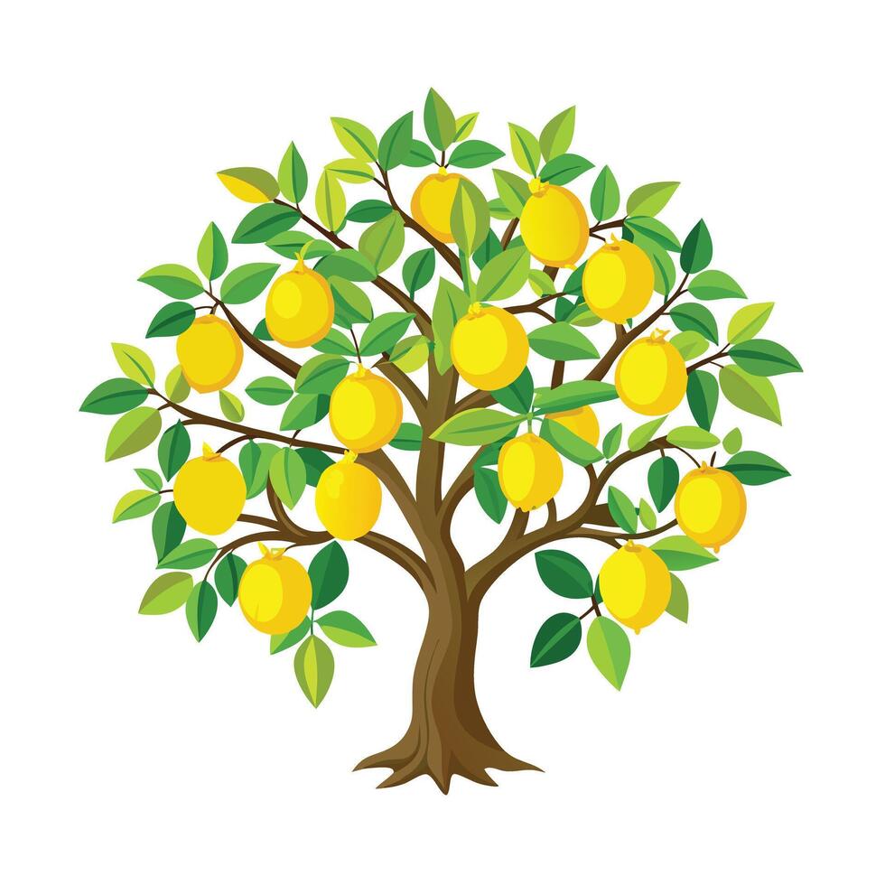 Beautiful Single Big Tree Illustration vector