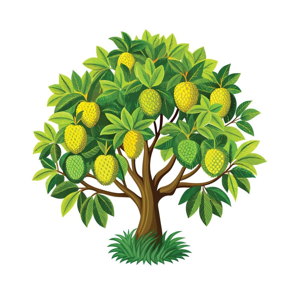 Beautiful Single Big Tree Illustration vector