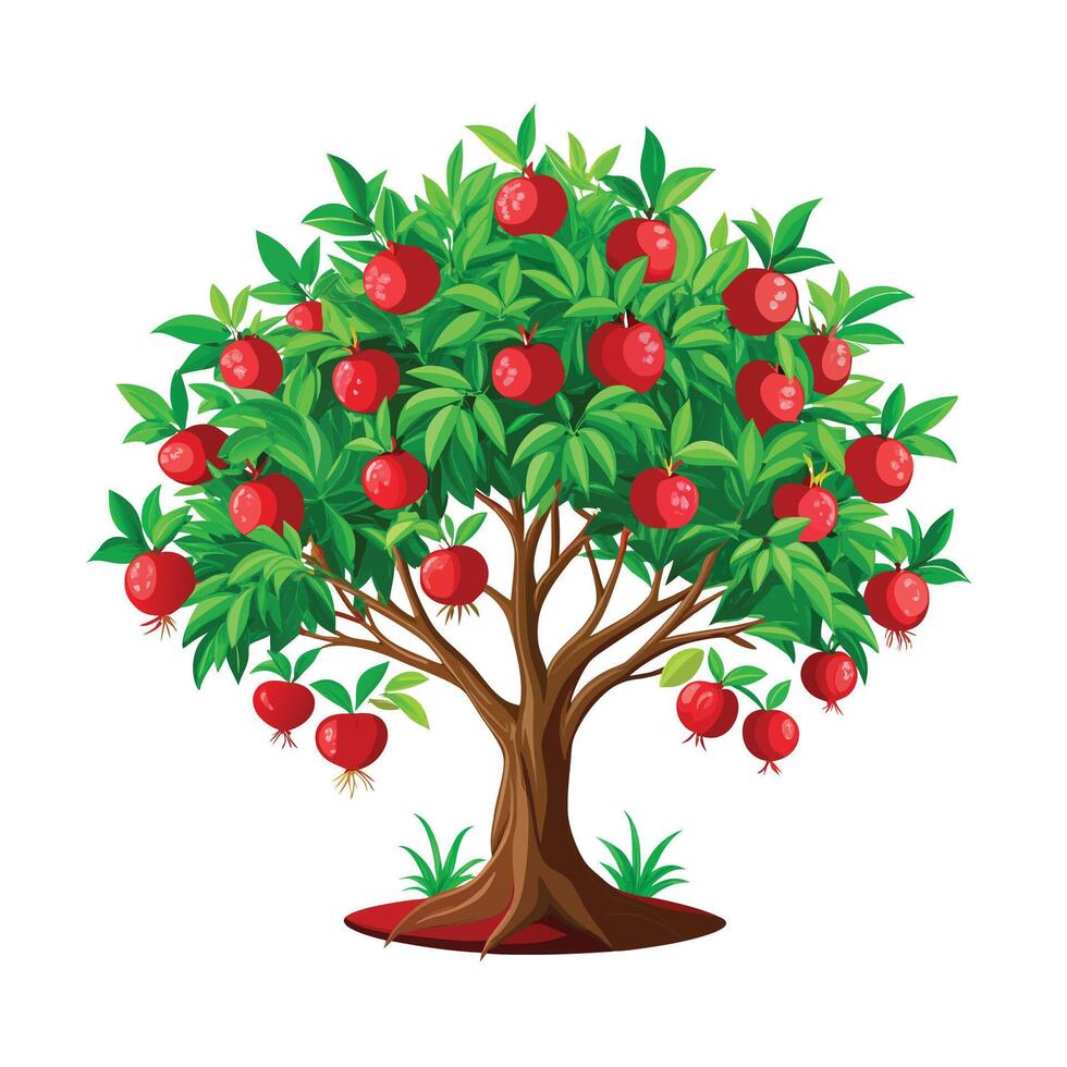 Beautiful Single Big Tree Illustration vector
