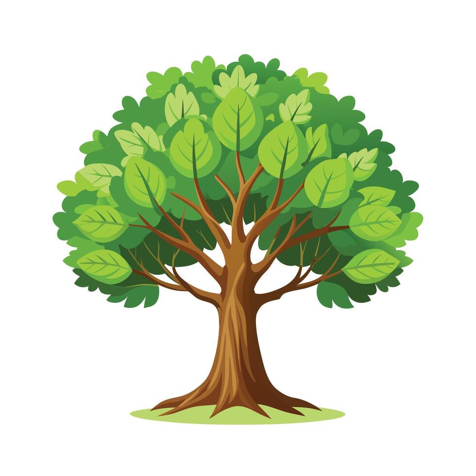 Beautiful Single Big Tree Illustration vector