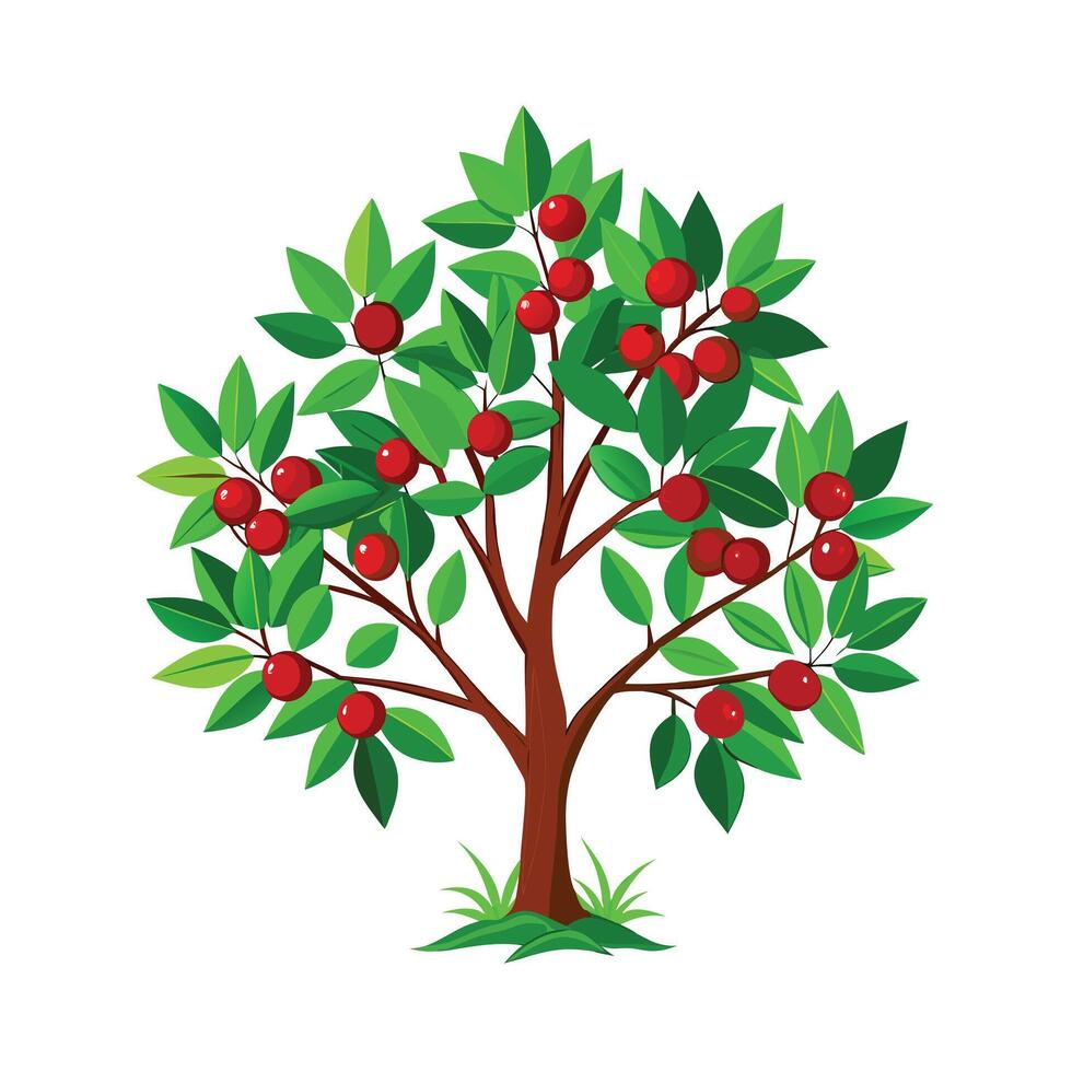 Beautiful Single Big Tree Illustration vector