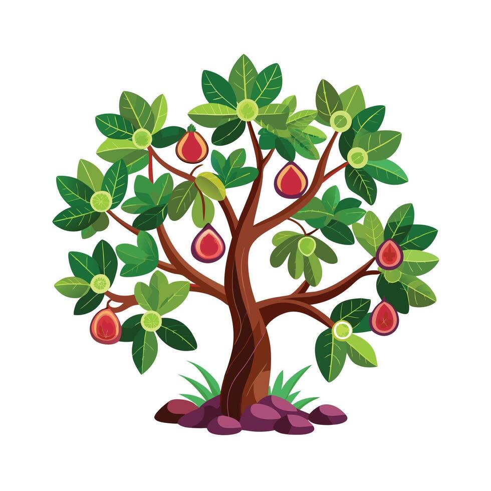 Beautiful Single Big Tree Illustration vector