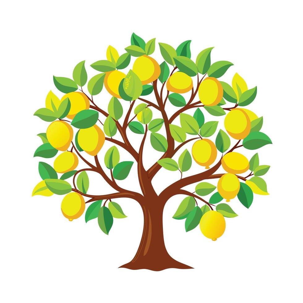 Beautiful Single Big Tree Illustration vector