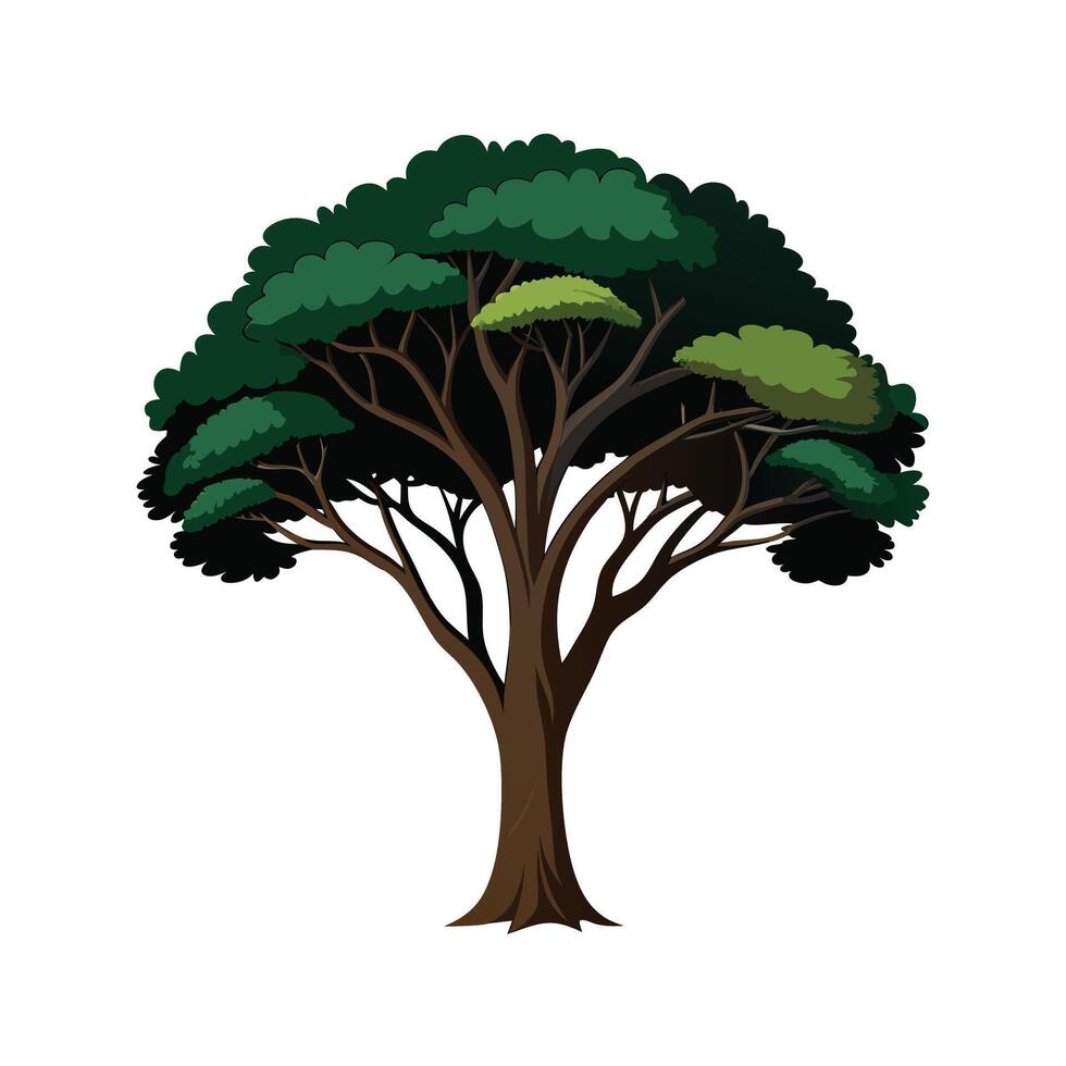 Beautiful Single Big Tree Illustration vector