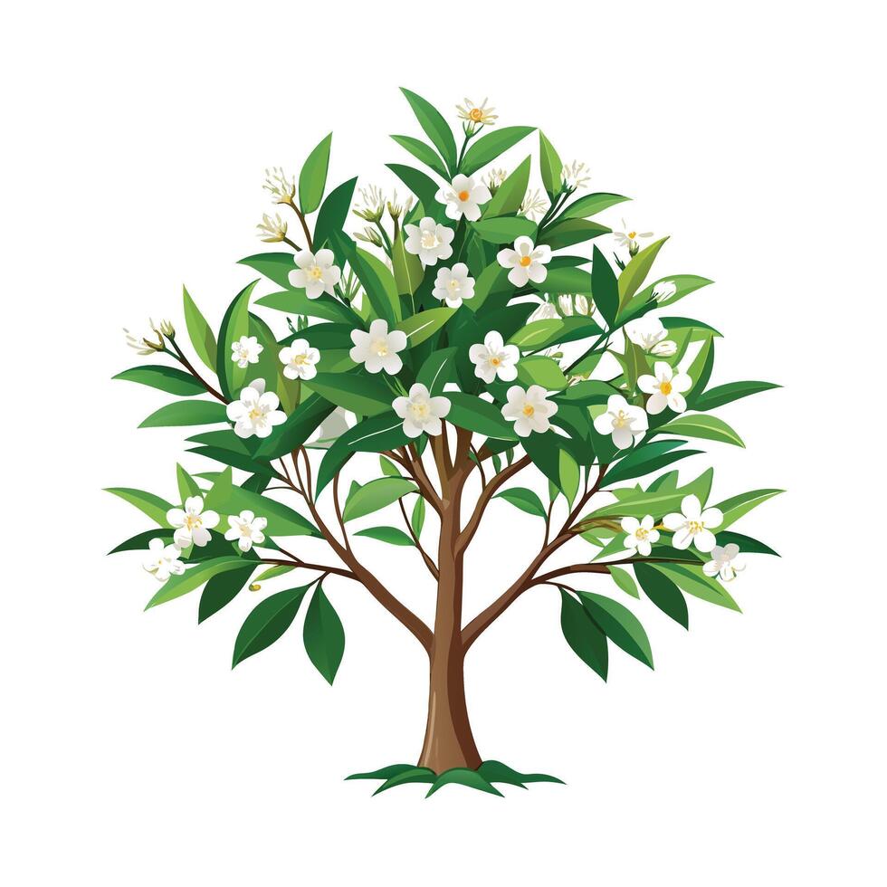 Beautiful Single Big Tree Illustration vector