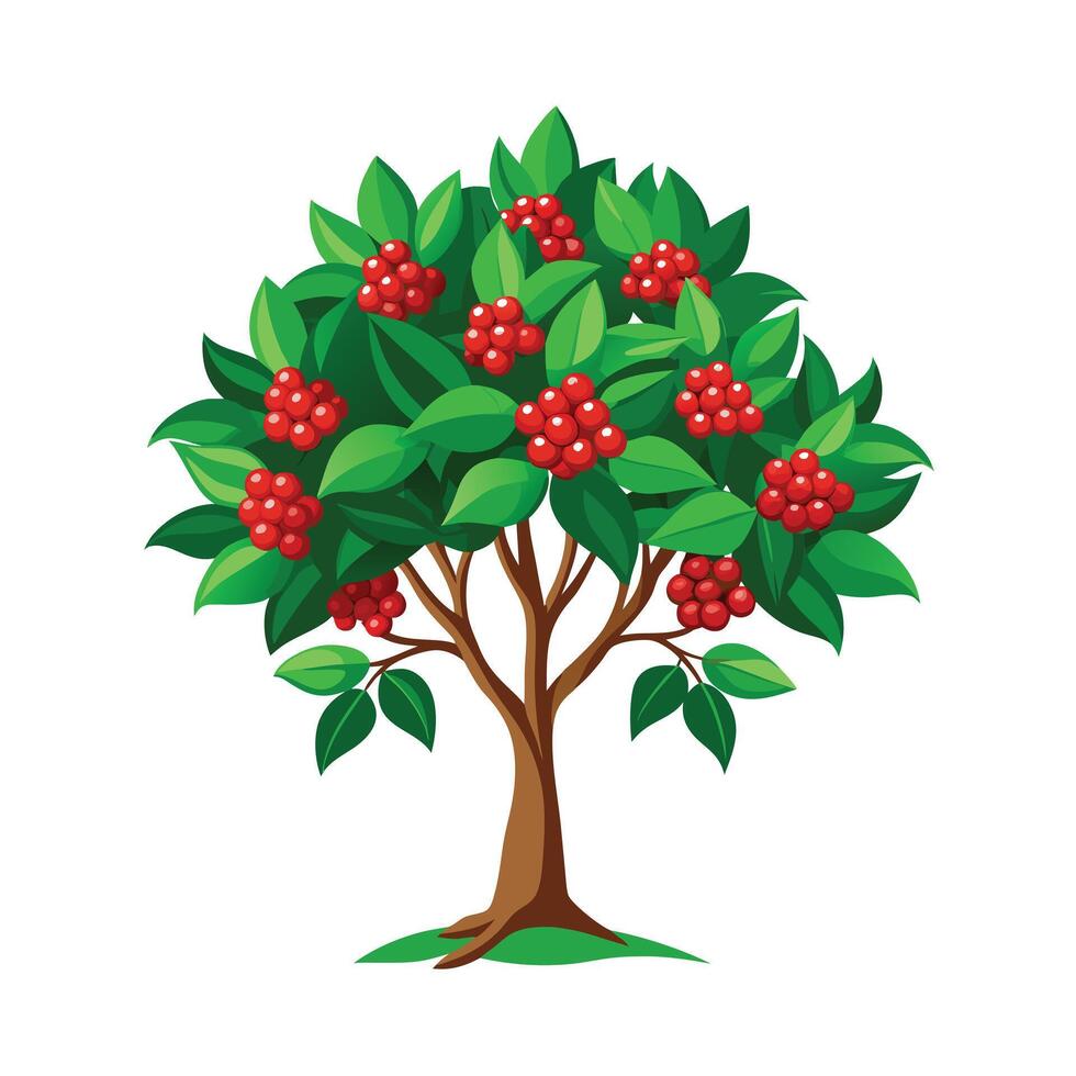 Beautiful Single Big Tree Illustration vector